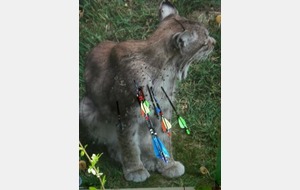 Nature Beaune 08 Avril12