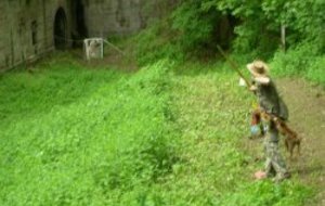 Nature Lingolsheim 08.05.12