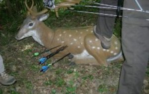 Concours 3D Lingolsheim