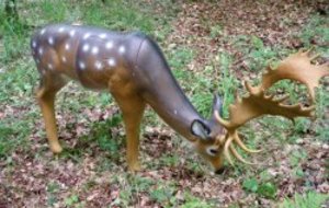 3D Fleurey les Faverney