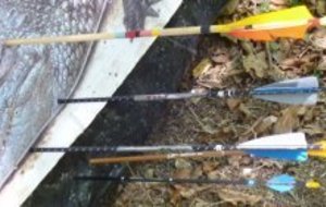 Nature Gorze 09.09.12