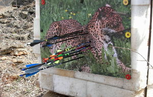 Concours nature La Chapelle Thècle