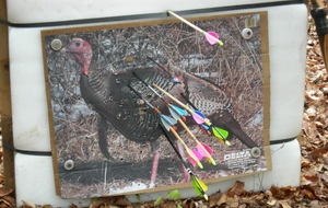 Concours nature Marchaux