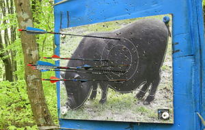 Concours nature Pont St Vincent