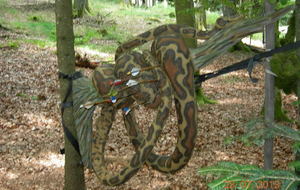 Tournoi 3D du Frenz les 27 et 28 juillet 2013