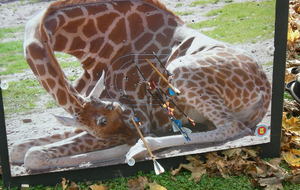 Parcours complet (21 cibles) opérationel !!!