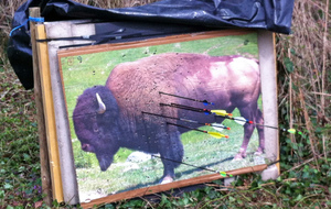 23.03.14 Tir Nature Sainte Croix en Plaine