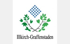  04/07/2014 Fêtes de l'Ill