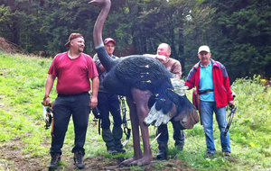 26-27/07/14  Tournoi amical 3D du Frenz