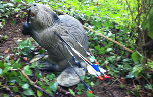 13/07/14 Tir 3D Dôle - Chamblay