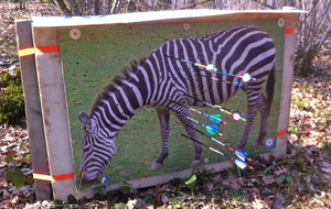 Nature Gray 15/03/15