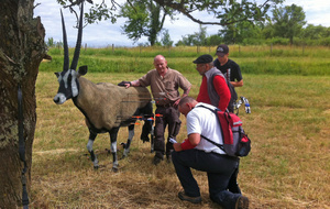 3D Fleurey les Faverney