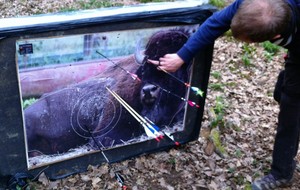 Tir nature Dôle - Goux