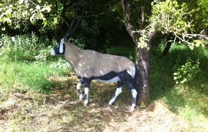 3D Fleurey les Faverney