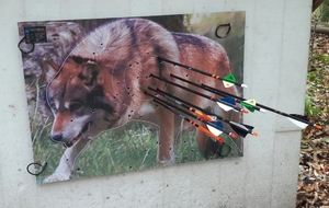 Tir nature Neuwiller les Saverne 15.10.17