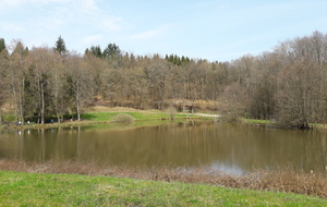 Nature Etueffont Belfort 08.04.18