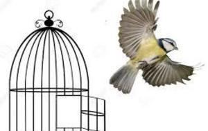 Levée du confinement - reprise d'activité