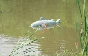 Quelques cibles sur l'eau !