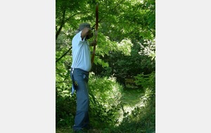 Fabrice dans ses oeuvres.