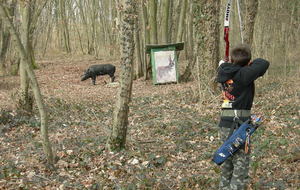 Tout est bon dans le cochon !