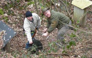 A 2 pour un petit tétra ...