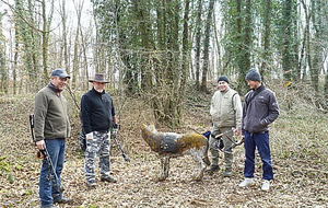 Les haguenauviens de l' étape !