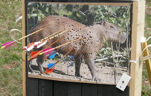 La cible n°21, le Capibara 