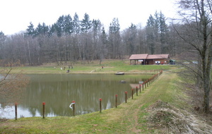 Le greffe et les cibles d'échauffements.