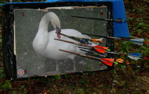 énervé le Serge ???