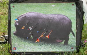 Tout est bon dans le cochon !