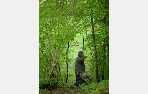 Pas gros l'éléphant ...