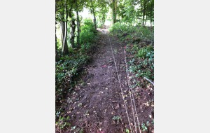 12/06/2013, 170 trous à faire...