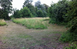 28/06 Premiers débrousaillages