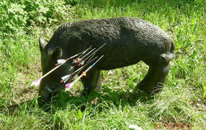 Un beau tir, tous se sont appliqués ...