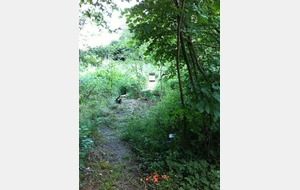 20/35 du pas de tir.