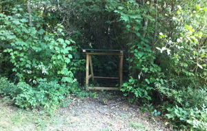 En attente des mousses...