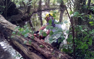 Conditions de travail inconfortables planté dans la vase...