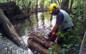 Ouf ! Coupé et sans finir dans l' eau !