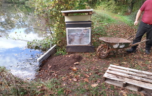 Stabilisation des berges cible 2.