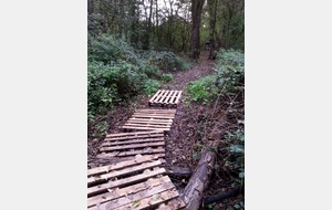 Quelques palettes pour éviter la boue !