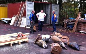 Sur le vif ...   : )