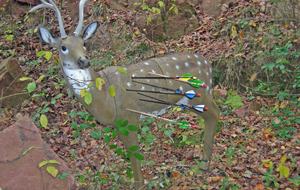Il manque des flèches ???