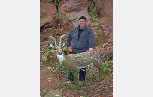 Gare aux rochers ...