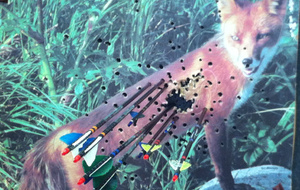 Superbe plein de Serge !