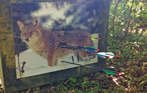 Et encore des points de perdus ...