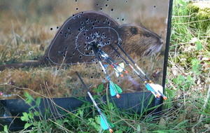 La paille qui fâche !