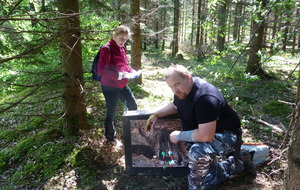 Quel regard Serge ???