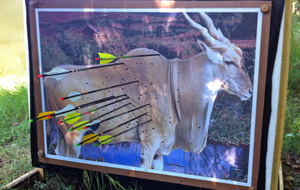 Un tir du 1er peloton senior arc chasse.