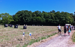 Même le pré a souffert de la chaleur.