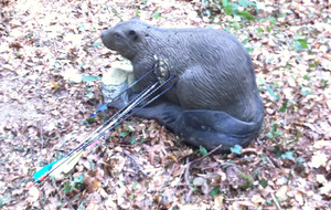 La première cible de la journée.